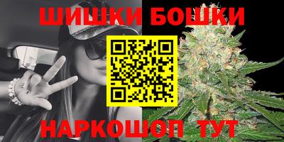 крисы Малгобек