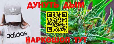 крисы Малгобек
