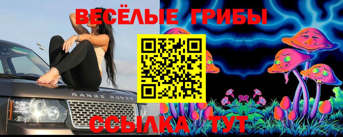 Владикавказ  Псилоцибиновые грибы GOLDEN TEACHER  Вход с VPN 