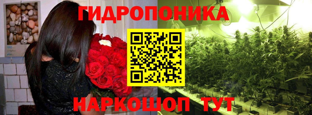 Бошки марихуана Ganja  Бошки марихуана индика  Вход с VPN  Владикавказ 